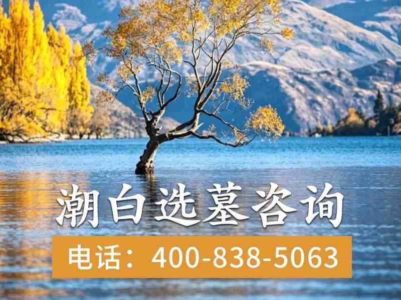 潮白陵园芦苇造型墓碑材质揭秘：石材与金属深度解析及选购攻略