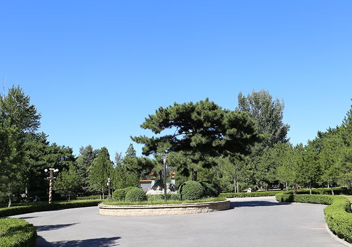 陵园环境